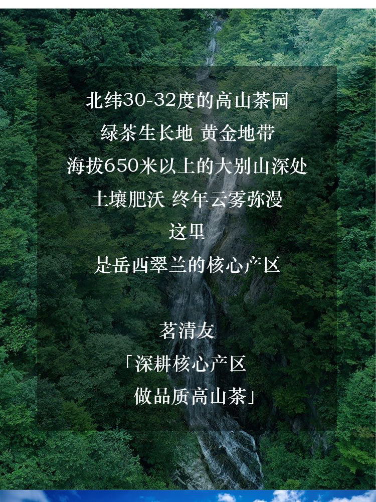 1668569659257716.jpg